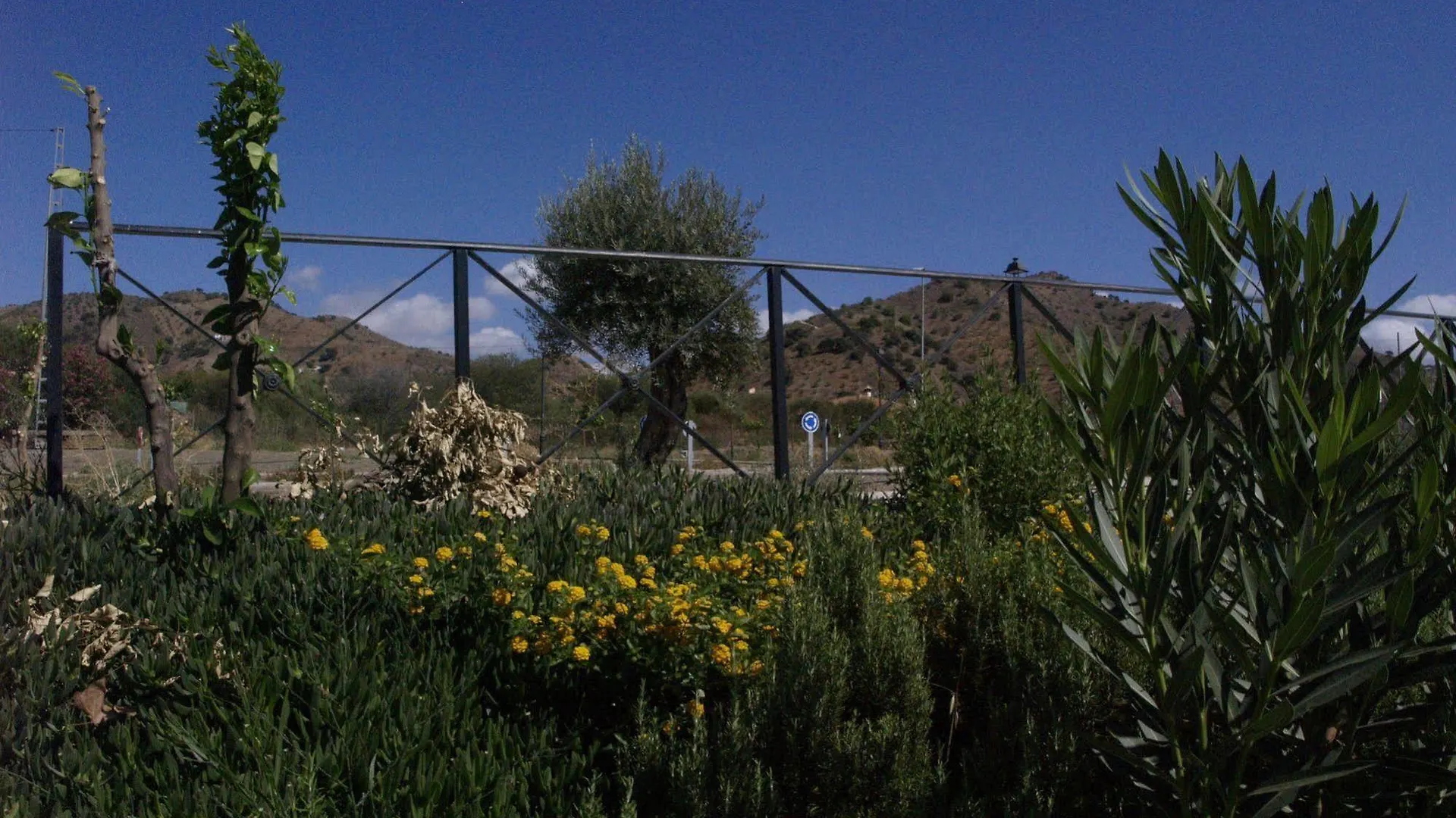 Πανσιόν Hostal La Molina Alora